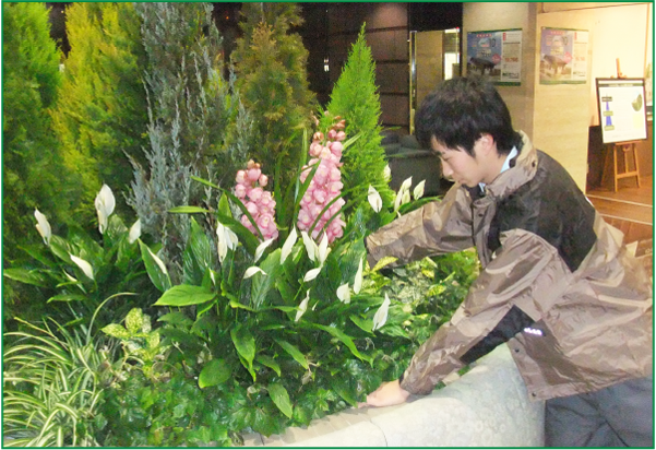 写真